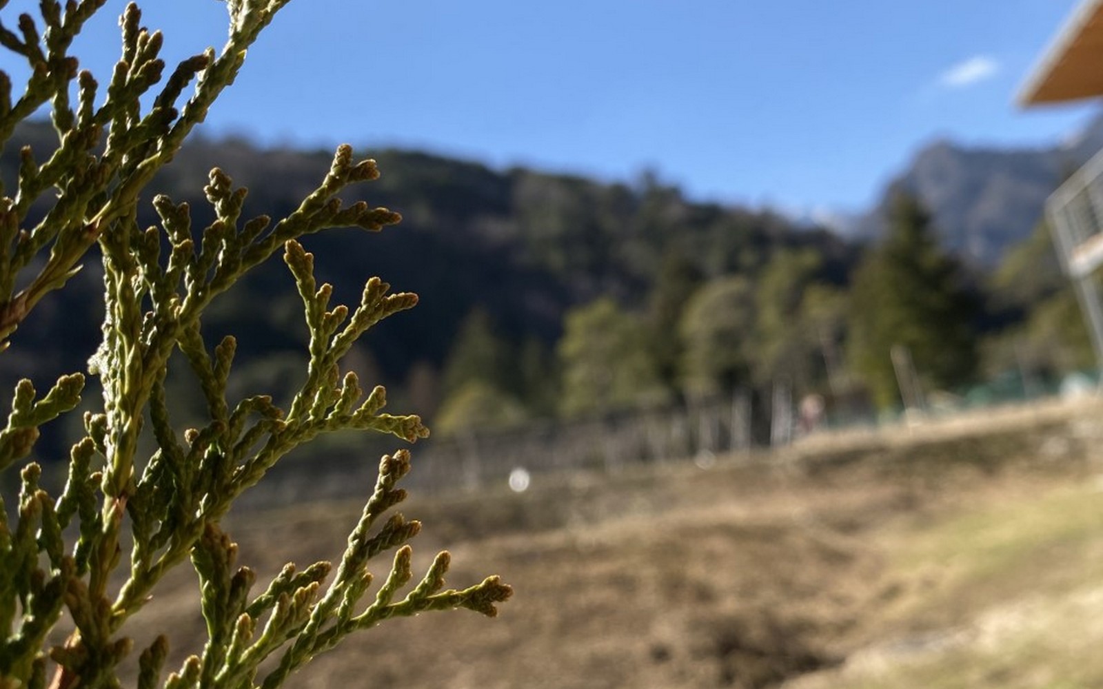 Entspannender Urlaub im Val di Ledro